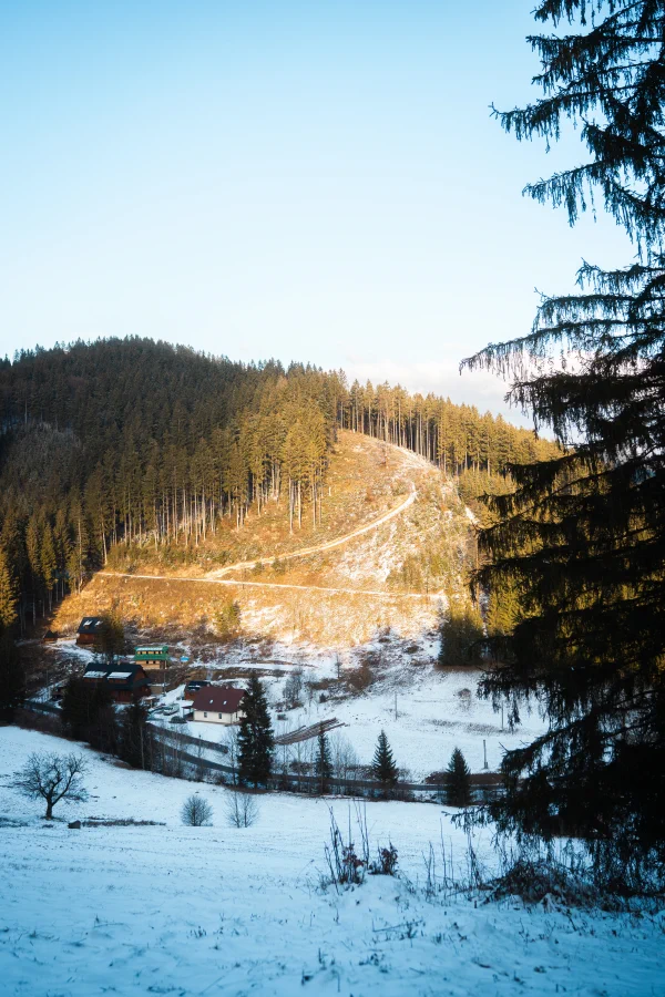 A snow-covered valley with spruce forest and a few houses in late afternoon light