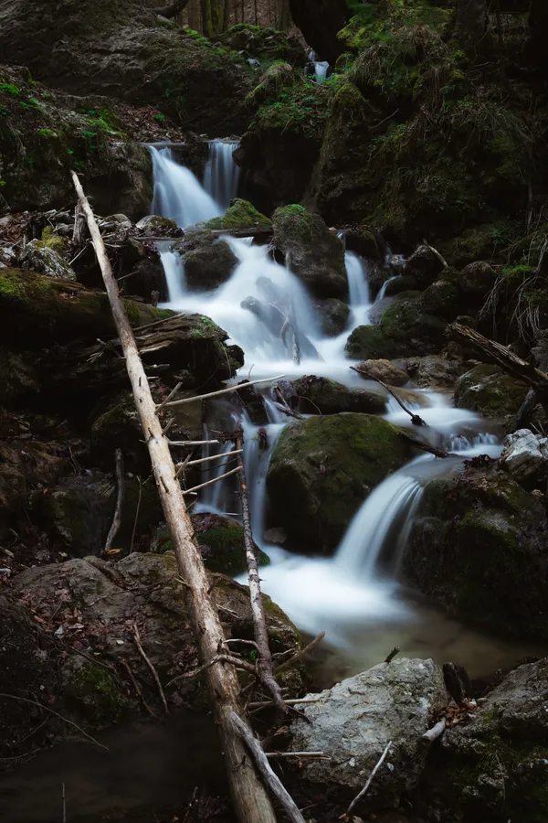 Cascades of a stream between moss-covered rocks in a dark forest
