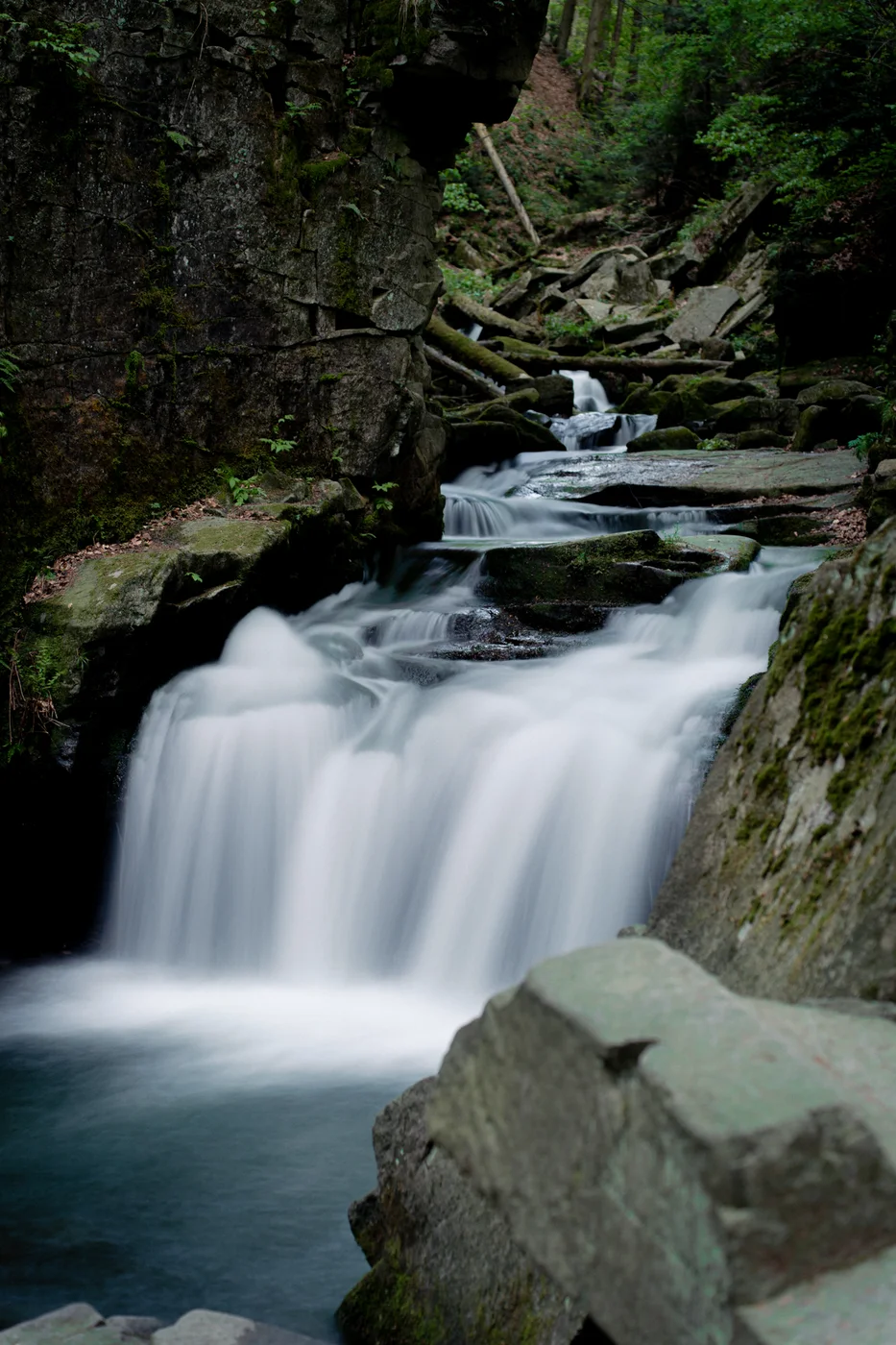 Flowing water between rocks in a wooded gorge
