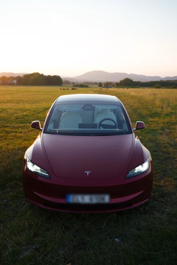 A dark red car standing in grass, with a line of trees and hills behind it in early evening light